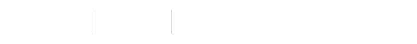 L TYPE 4LDK 住居専有面積83.91m²（約25.38坪）